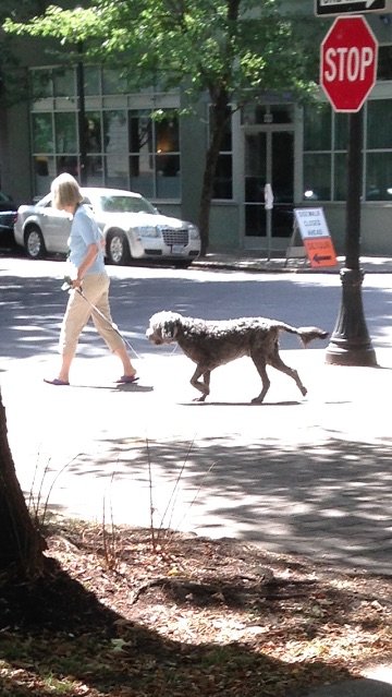 When Teresa called me