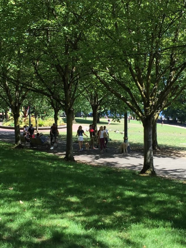 When Teresa called me