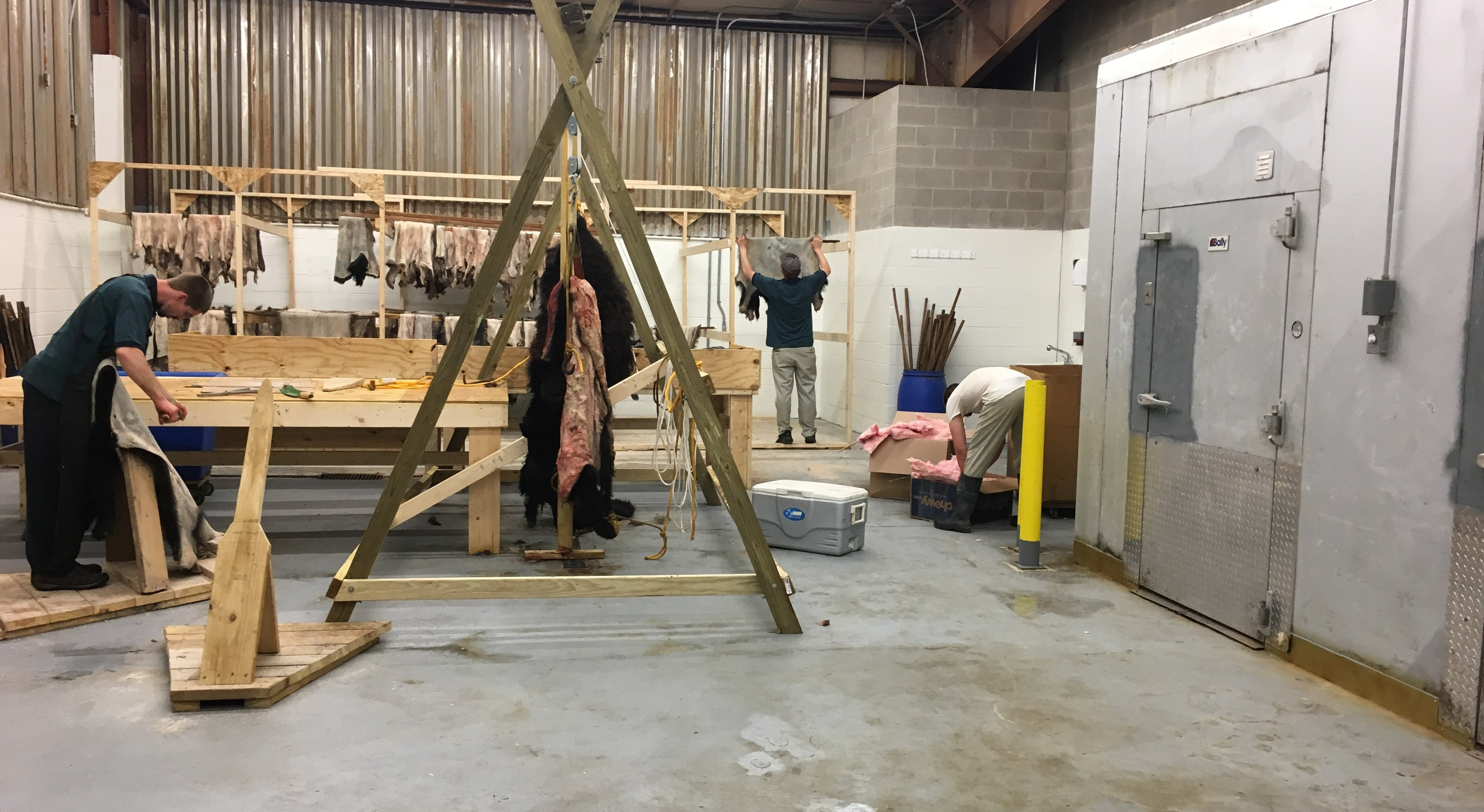 Tanning For The Taxidermy Industry Carolina Fur Dressing Raleigh NC