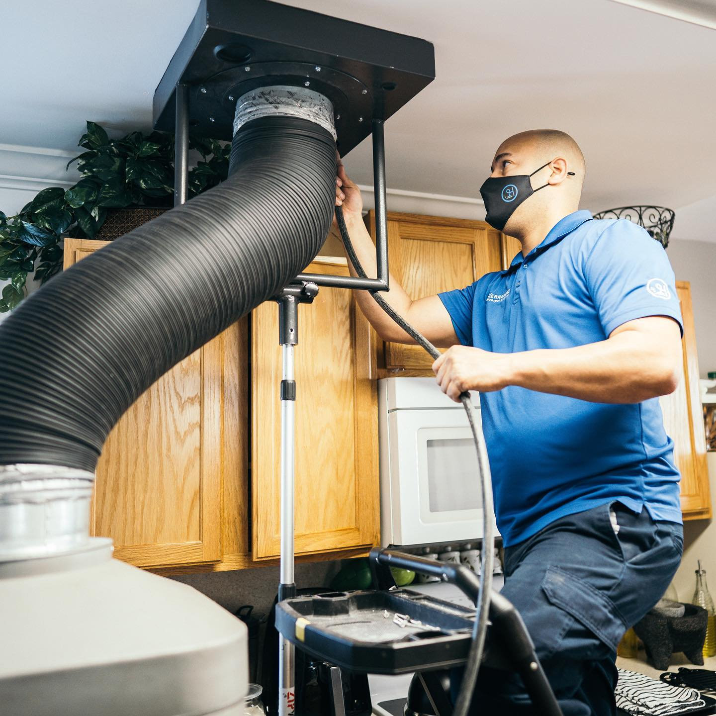 PHOTO GALLERY Hernandez Carpet Cleaning Greensboro, Winston Salem, Burlington