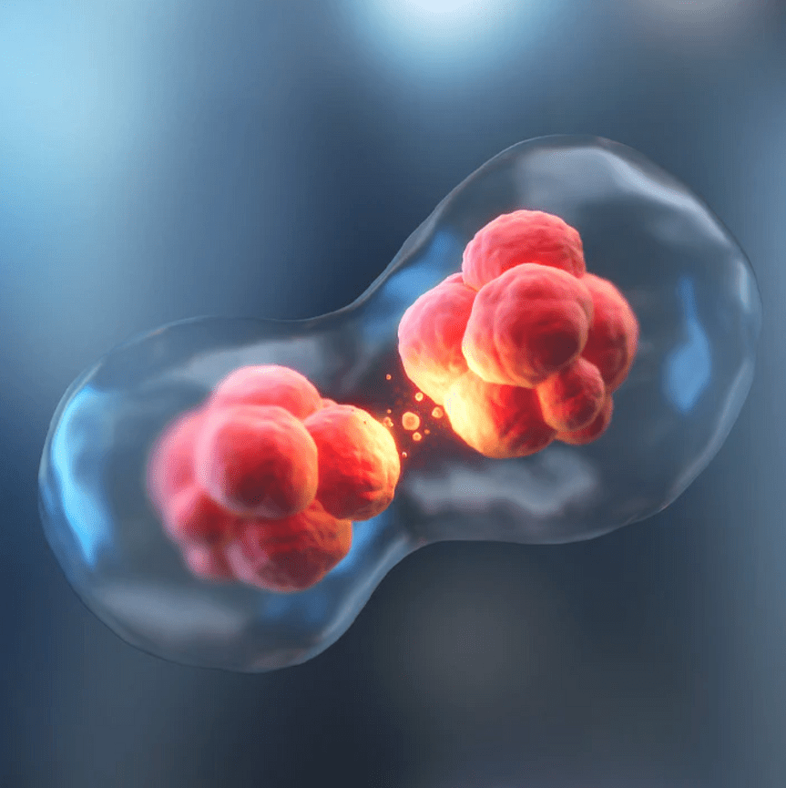 Lipotropic MIC & B12 Injections | Houston Concierge Medicine