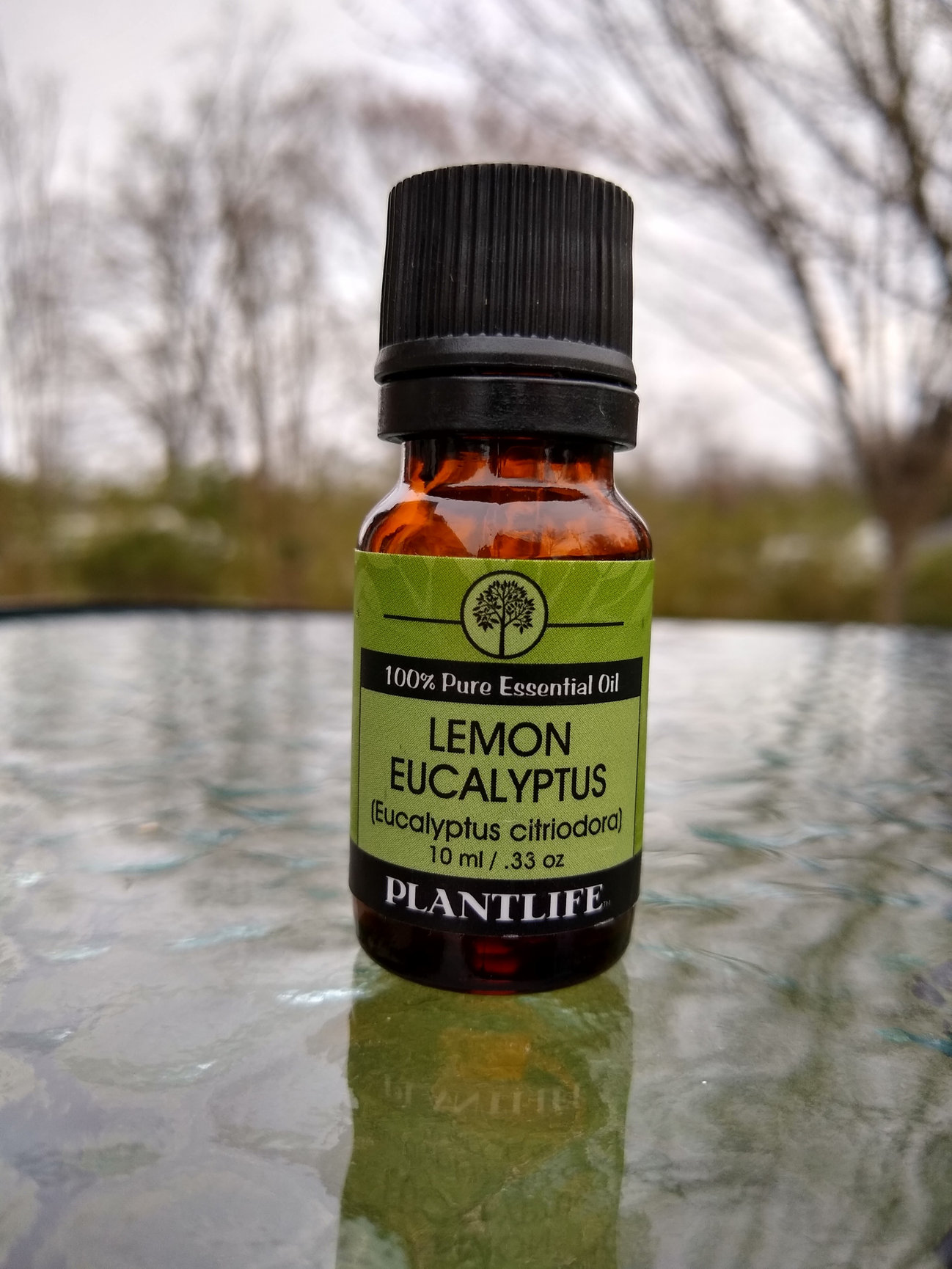 Plantlife Lemon Eucalyptus Essential Oil Empower Wellness and Market