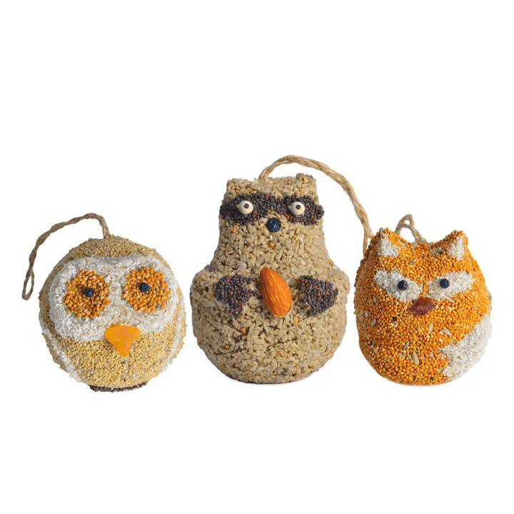 Woodland Friends Bird Treat Rare Bird Gifts Goods