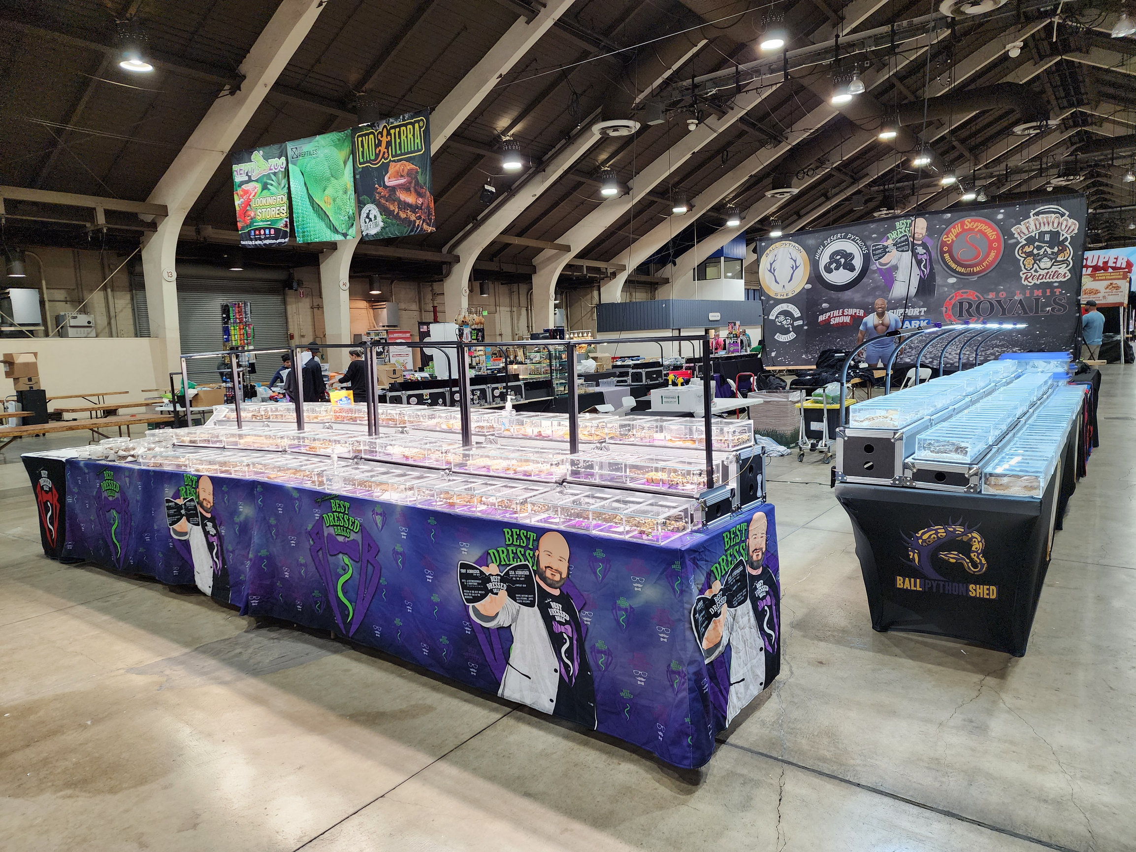 show-info-all-american-reptile-and-plant-expo-castle-rock
