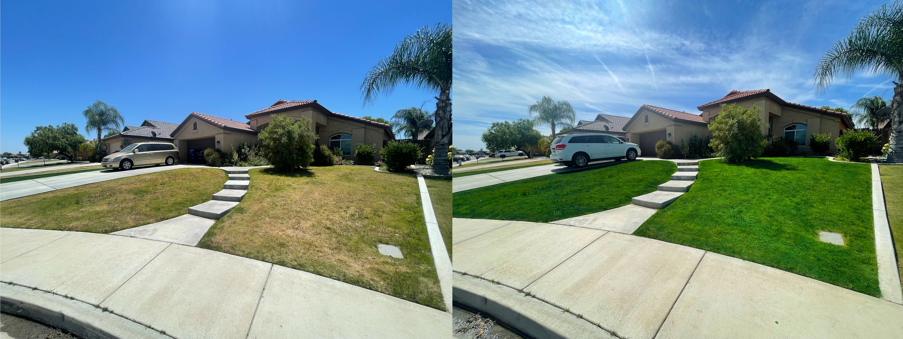 Bakersfield Lawn Painting